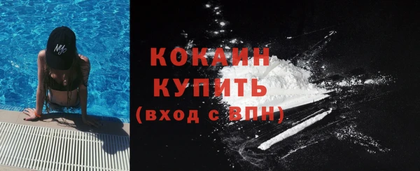шишки Осташков