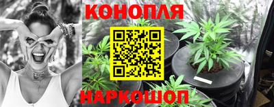 Альфа ПВП Дубна
