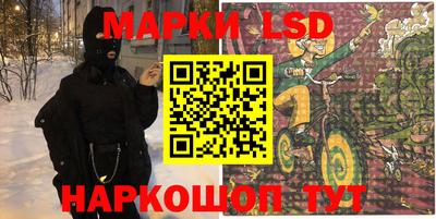 гидра Будённовск