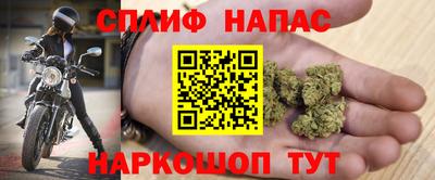 гидра Бузулук