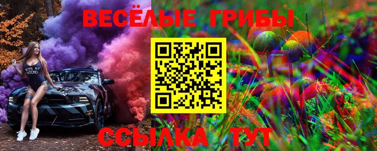 Галлюциногенные грибы Psilocybine cubensis  Вход с VPN  Искитим 